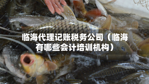 临海代理记账税务公司（临海有哪些会计培训机构）