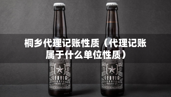 桐乡代理记账性质（代理记账属于什么单位性质）