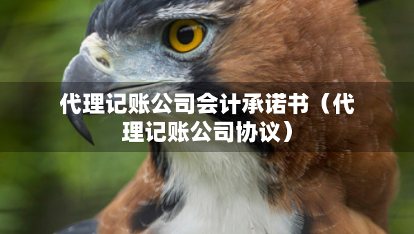代理记账公司会计承诺书（代理记账公司协议）