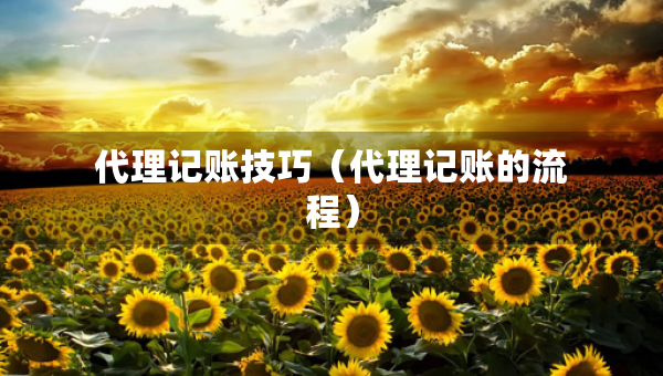 代理记账技巧（代理记账的流程）