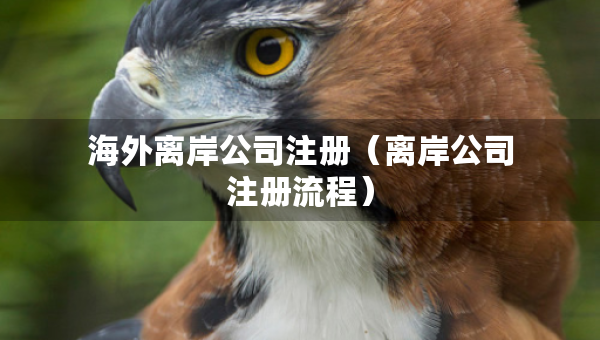 海外离岸公司注册（离岸公司注册流程）