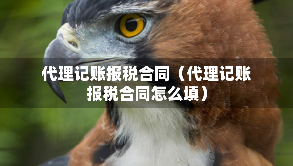 代理记账报税合同（代理记账报税合同怎么填）