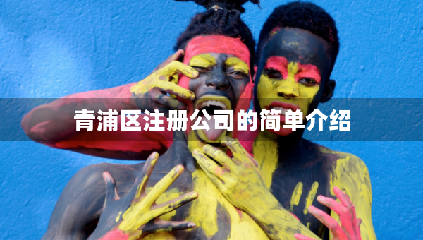 青浦区注册公司的简单介绍