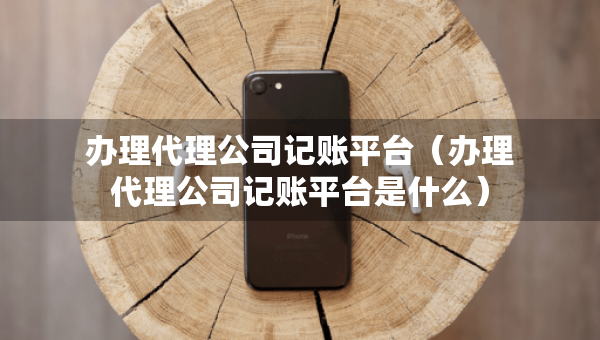 办理代理公司记账平台（办理代理公司记账平台是什么）