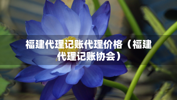 福建代理记账代理价格（福建代理记账协会）