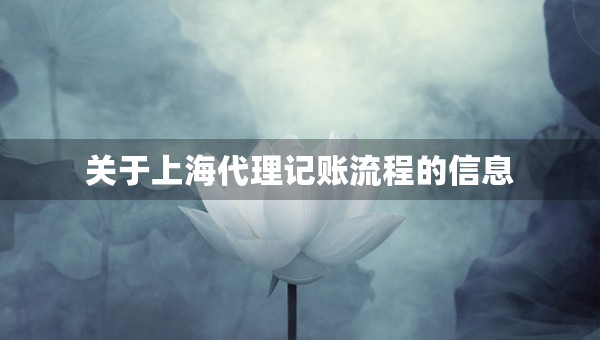 关于上海代理记账流程的信息