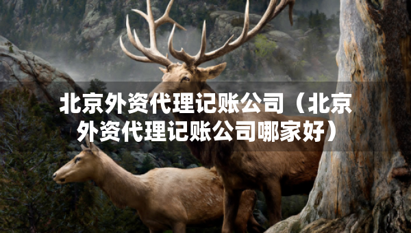 北京外资代理记账公司（北京外资代理记账公司哪家好）