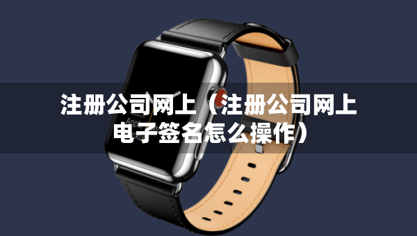 注册公司网上（注册公司网上电子签名怎么操作）