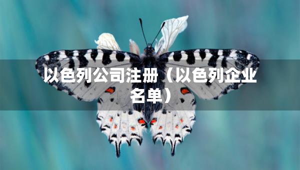 以色列公司注册（以色列企业名单）