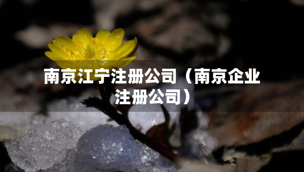 南京江宁注册公司（南京企业注册公司）