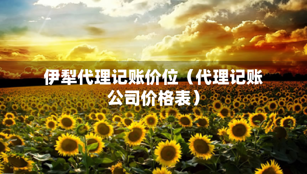 伊犁代理记账价位（代理记账公司价格表）