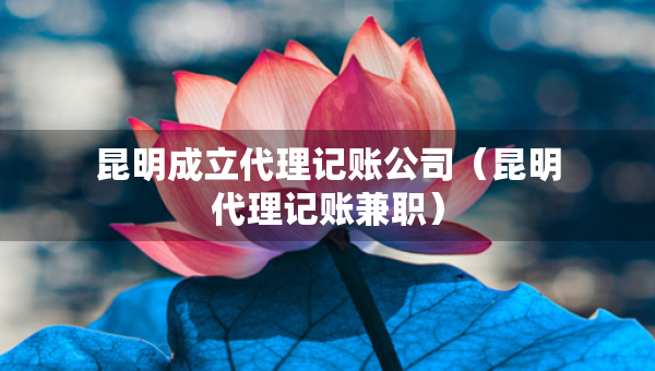昆明成立代理记账公司（昆明代理记账兼职）
