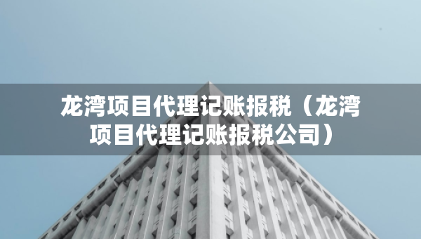 龙湾项目代理记账报税（龙湾项目代理记账报税公司）