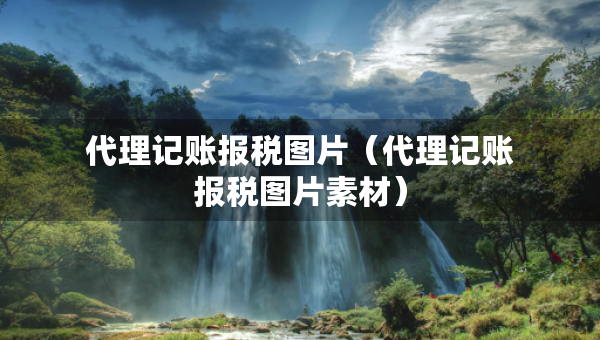 代理记账报税图片（代理记账报税图片素材）