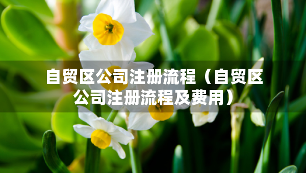 自贸区公司注册流程（自贸区公司注册流程及费用）