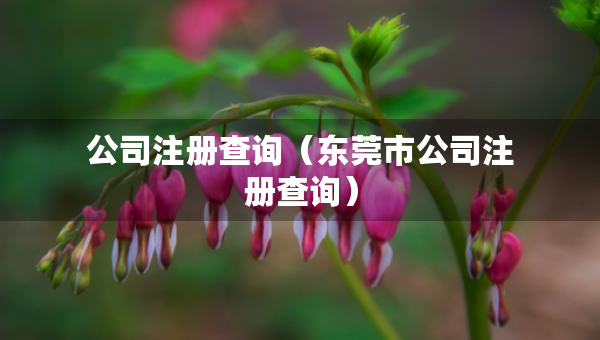 公司注册查询（东莞市公司注册查询）