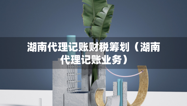 湖南代理记账财税筹划（湖南代理记账业务）