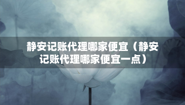 静安记账代理哪家便宜（静安记账代理哪家便宜一点）