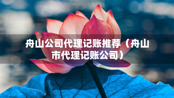 舟山公司代理记账推荐（舟山市代理记账公司）