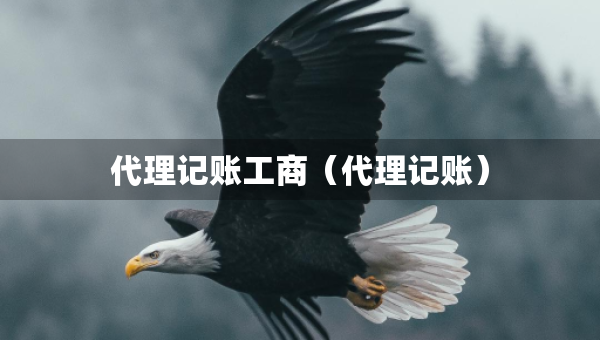 代理记账工商（代理记账）