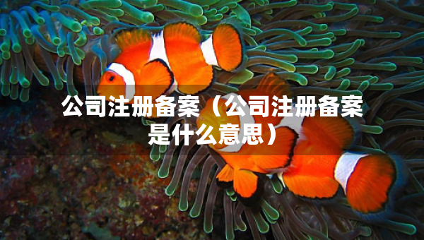 公司注册备案（公司注册备案是什么意思）