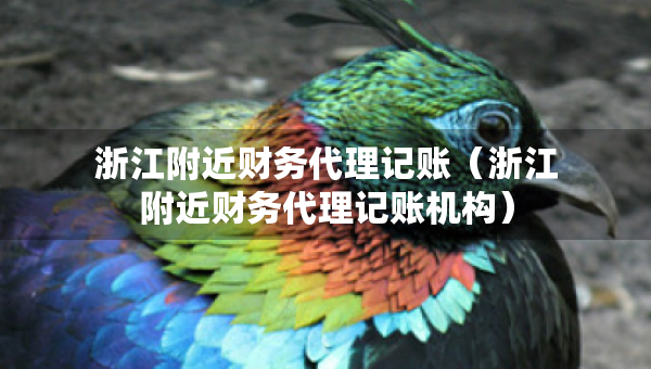 浙江附近财务代理记账（浙江附近财务代理记账机构）