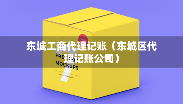 东城工商代理记账（东城区代理记账公司）