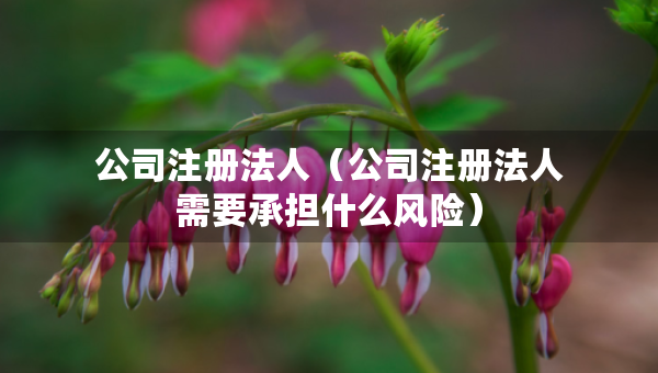 公司注册法人（公司注册法人需要承担什么风险）