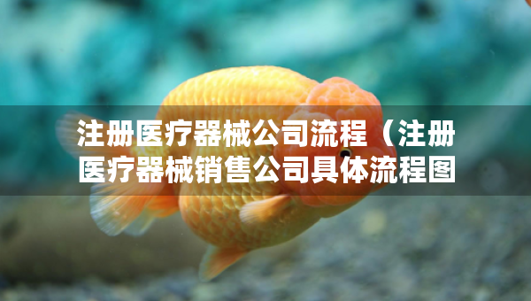 注册医疗器械公司流程（注册医疗器械销售公司具体流程图）