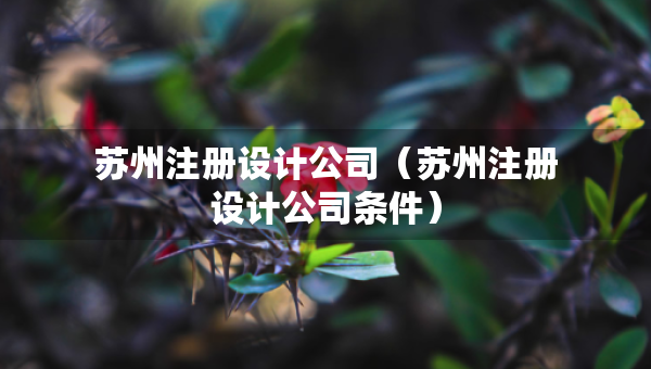 苏州注册设计公司（苏州注册设计公司条件）