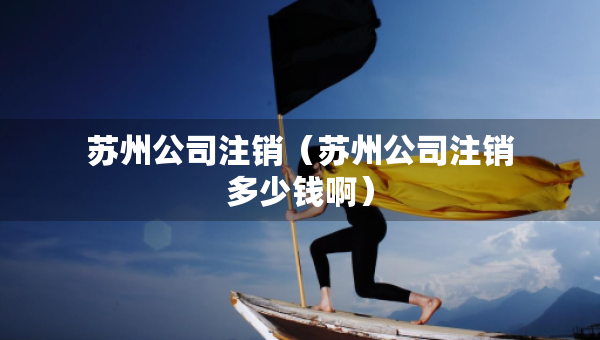 苏州公司注销（苏州公司注销多少钱啊）