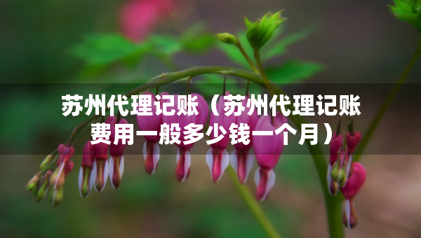 苏州代理记账（苏州代理记账费用一般多少钱一个月）