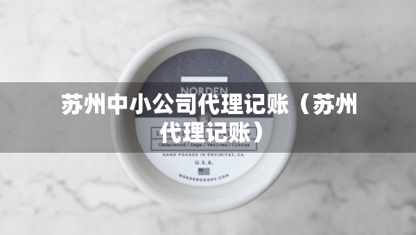 苏州中小公司代理记账（苏州 代理记账）