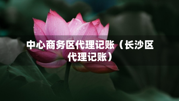 中心商务区代理记账（长沙区代理记账）