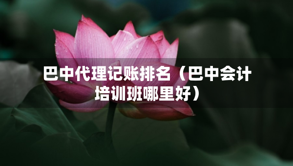 巴中代理记账排名（巴中会计培训班哪里好）