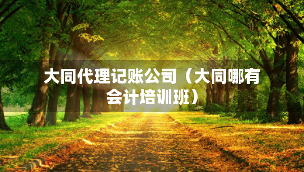 大同代理记账公司（大同哪有会计培训班）