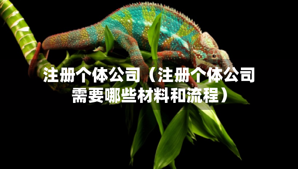 注册个体公司（注册个体公司需要哪些材料和流程）