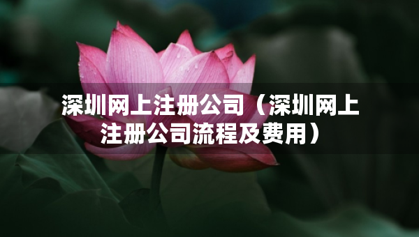 深圳网上注册公司（深圳网上注册公司流程及费用）
