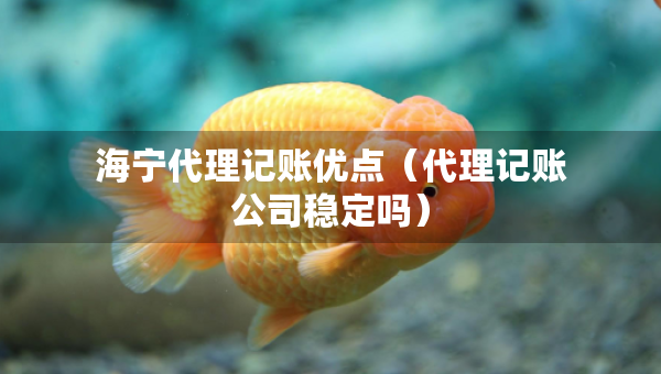 海宁代理记账优点(代理记账公司稳定吗) 海宁代理记账优点(代理记账公司稳定吗)