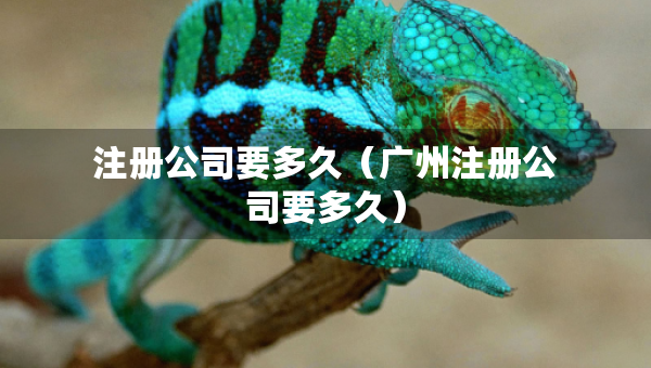 注册公司要多久（广州注册公司要多久）