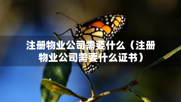 注册物业公司需要什么（注册物业公司需要什么证书）