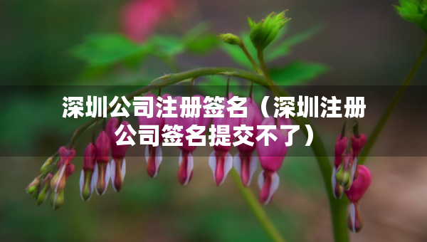 深圳公司注册签名（深圳注册公司签名提交不了）