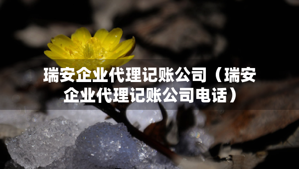 瑞安企业代理记账公司（瑞安企业代理记账公司电话）