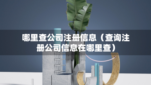 哪里查公司注册信息（查询注册公司信息在哪里查）