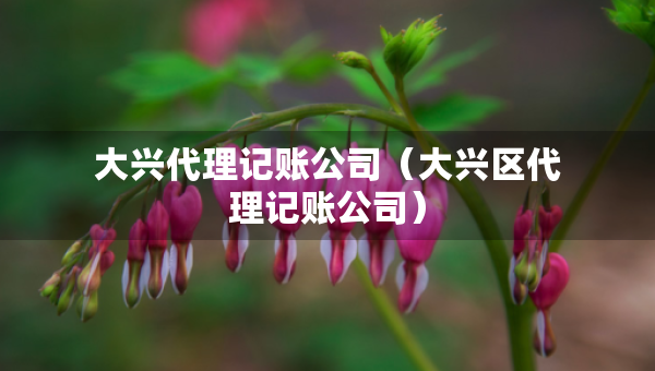 大兴代理记账公司（大兴区代理记账公司）