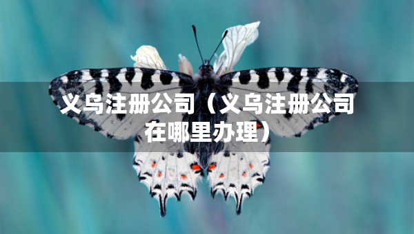 义乌注册公司（义乌注册公司在哪里办理）