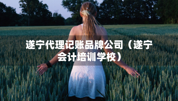遂宁代理记账品牌公司（遂宁会计培训学校）