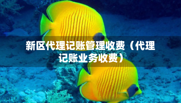 新区代理记账管理收费（代理记账业务收费）