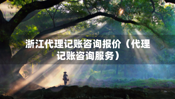 浙江代理记账咨询报价（代理记账咨询服务）