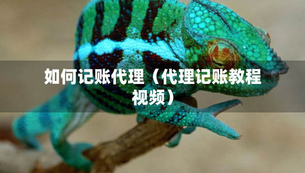 如何记账代理（代理记账教程视频）